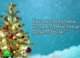«Футбольная столица» на «Зенит-ТВ»: выпуск от 15 декабря