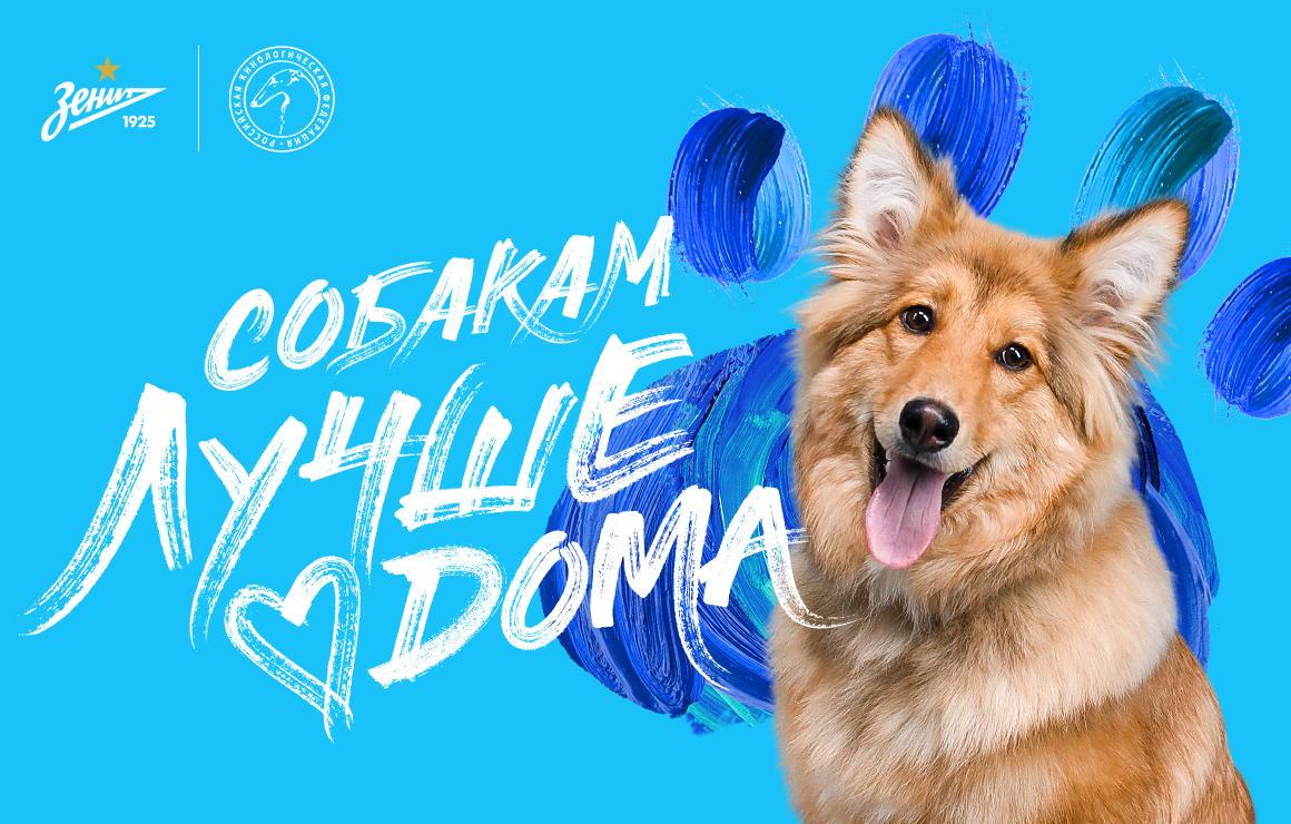 «Собакам лучше дома!»: социальная акция «Зенита» на матче с «Ростовом»