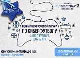Стадион «Санкт-Петербург» примет киберспортивный турнир